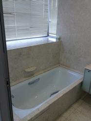 Novena Suites (D11), Apartment #73447942